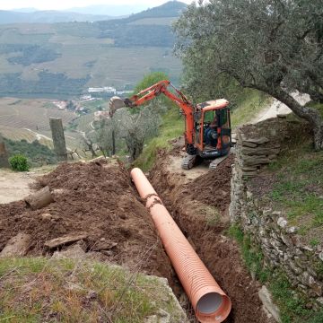 Limpeza Verde unipessoal lda - Alijó - Remoção de Tronco de Árvore