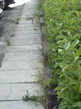 Jardinagem e Relvados