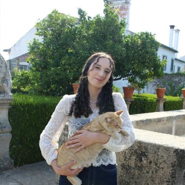 Daniela Nunes - Lisboa - Hundeausführung