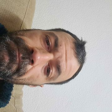 Limpamato - Coimbra - Eliminación de arbustos