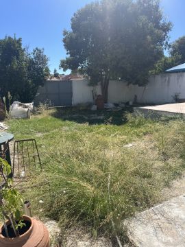 Serviço de Jardinagem