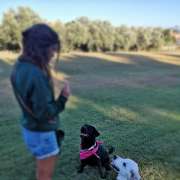 Cão Maneiras - Sintra - Pet Sitting e Pet Walking