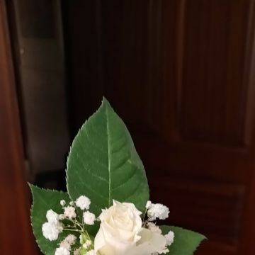 Celeste Suspiro - Alcobaça - Decoración de bodas