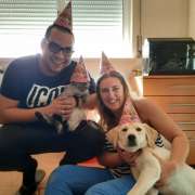 Bark Not Bite - Torres Novas - Dog Training