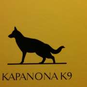 KapaNonaK9 - Cadaval - Hotel e Creche para Animais