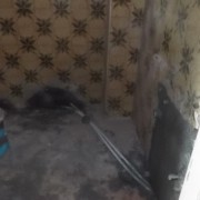 R.X.L Reparação e Recuperação LDA - Moita - Terrasse beizen / Oberfläche behandeln