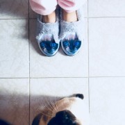 Leonor - Almada - Hotel for Cats
