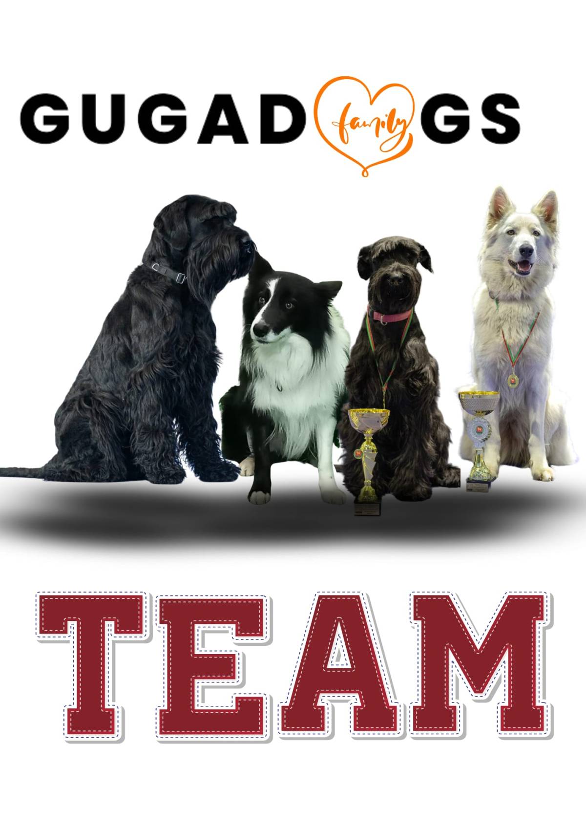 Gugadogs - Guimarães - Creche para Cães