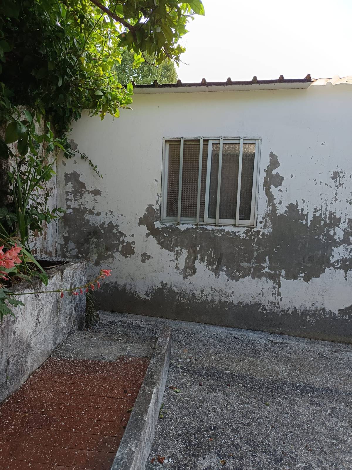 Zoeserve - São João da Madeira - Peinture intérieure