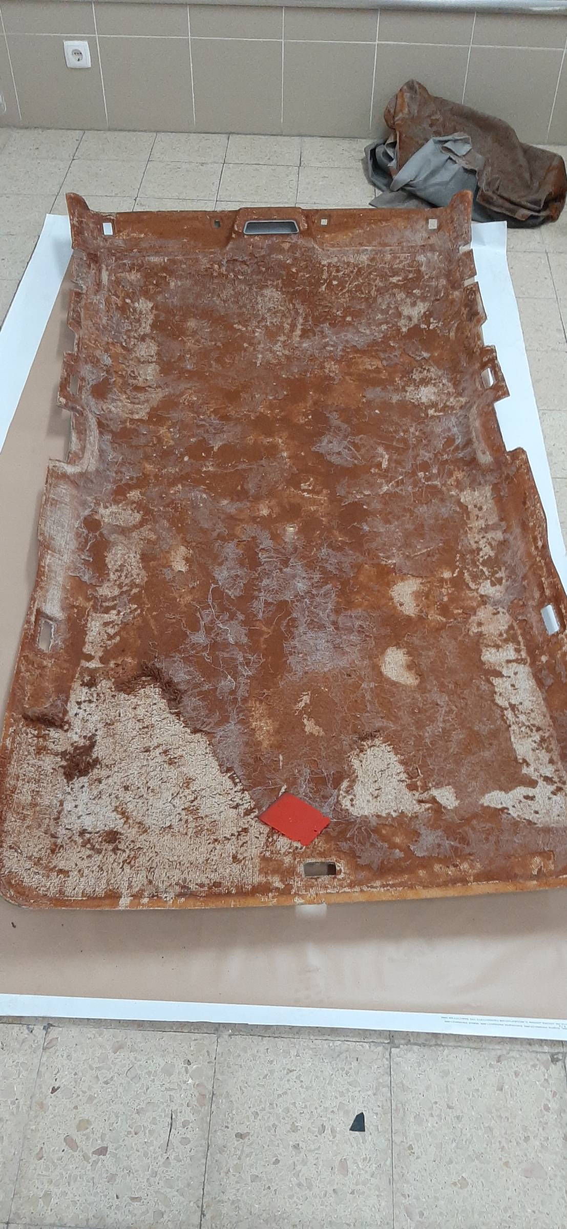 GRUPO MG PRESTAÇÃO DE SERVIÇOS - Loures - Pintura