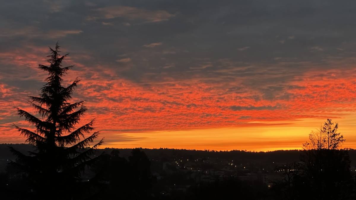 Dronando2.0 - Viseu - Video Editing