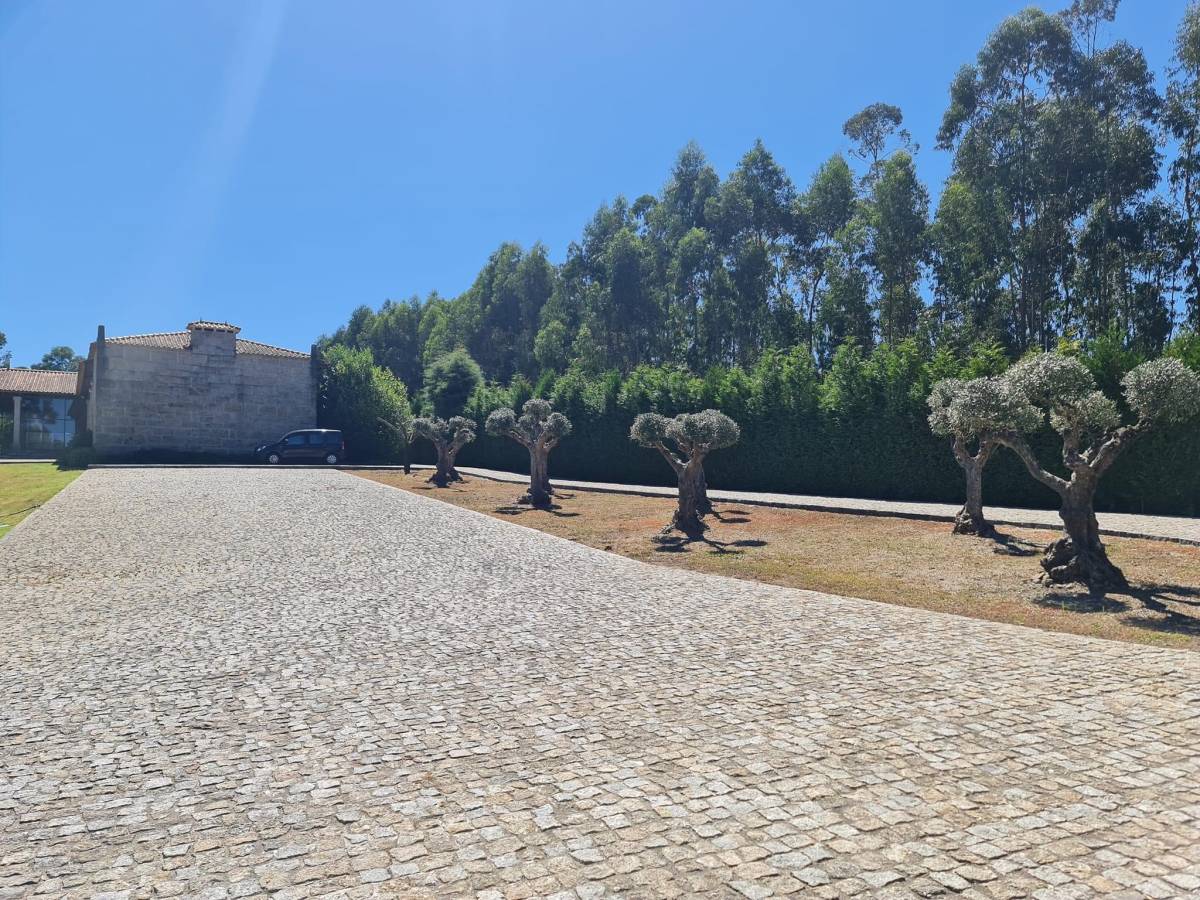 Dream Eventos - Paços de Ferreira - Wedding Planning