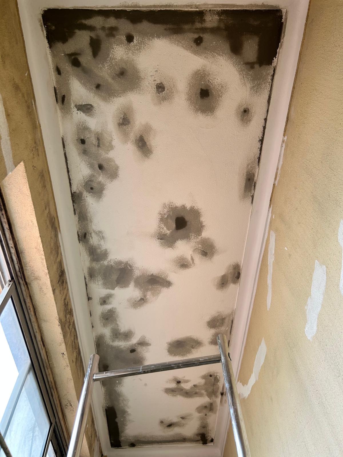 Anderson Mendes - Lisboa - Controlo de Pragas