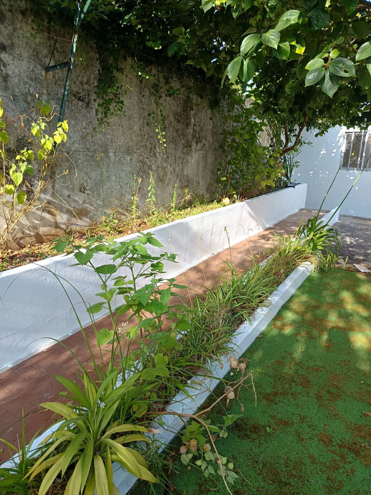 Zoeserve - São João da Madeira - Peinture de maison