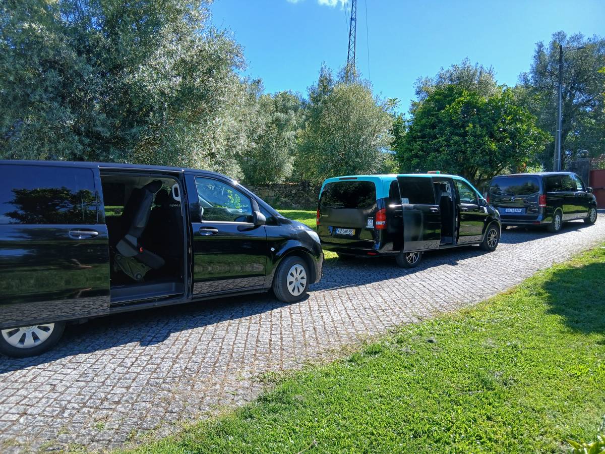 Somos9.transportes - Guimarães - Weinproben und Weingutsführungen