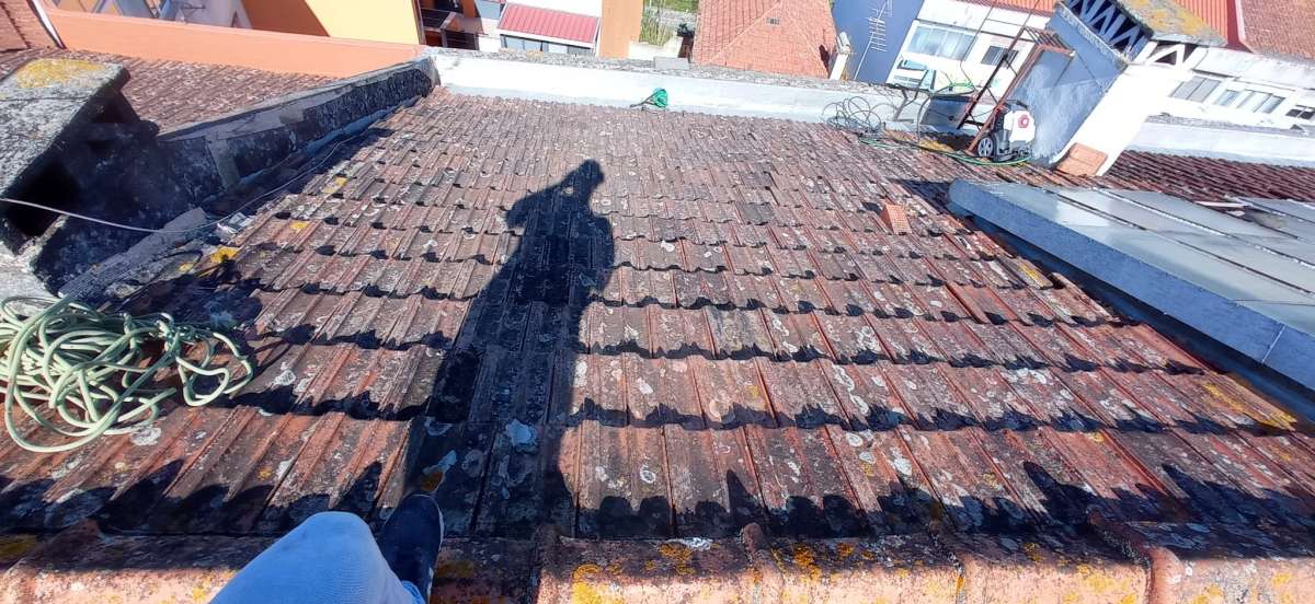 Roof Installation Professional