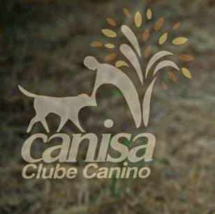 Canisa - Centro de Treinos e Hotel Canino - Braga - Dog Walking