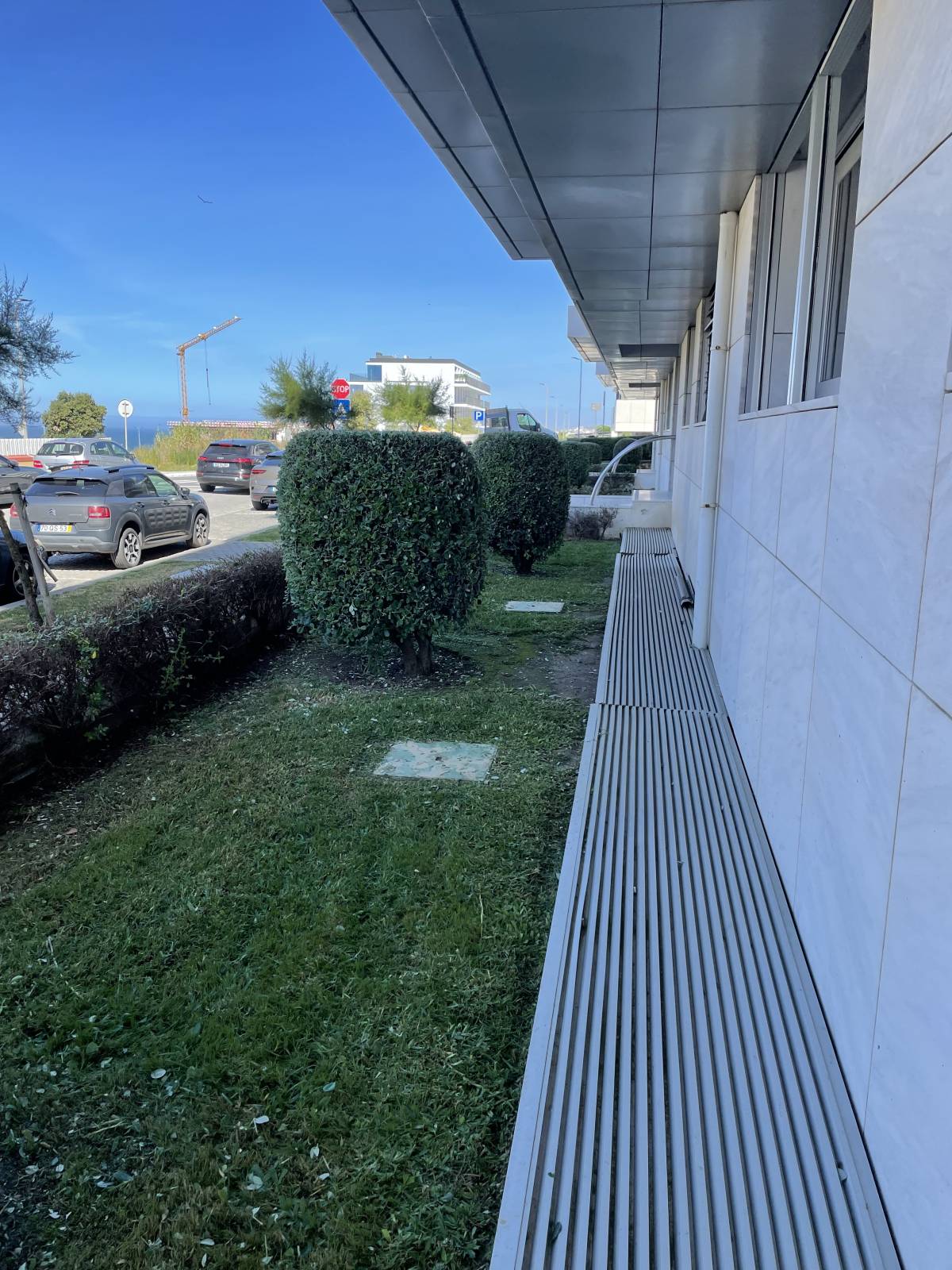 Alexandre Lourenço - Vila Nova de Gaia - Corte e Aparação de Relvado