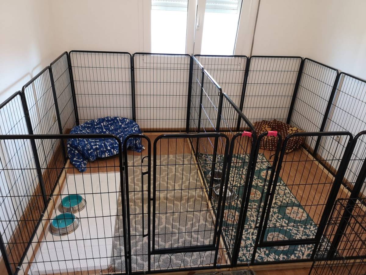 Gugadogs - Guimarães - Hotel para Cães