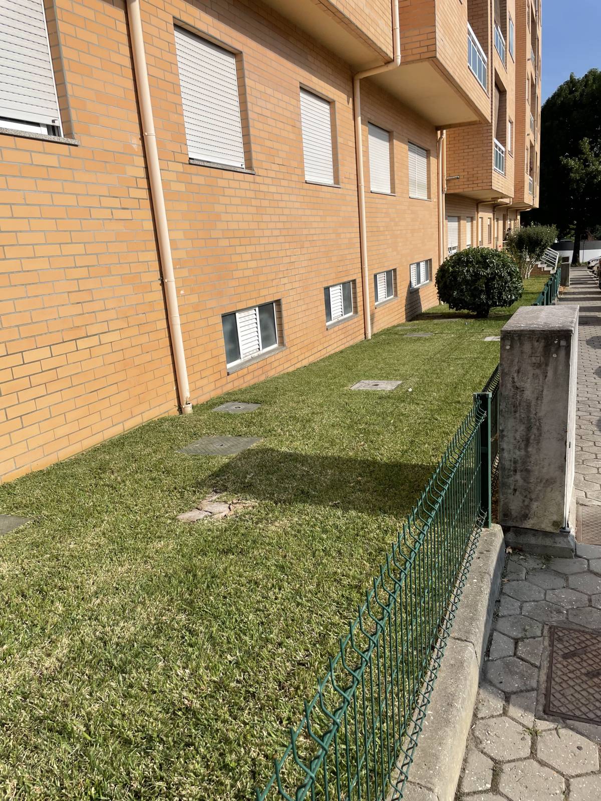 Alexandre Lourenço - Vila Nova de Gaia - Remoção de Arbustos