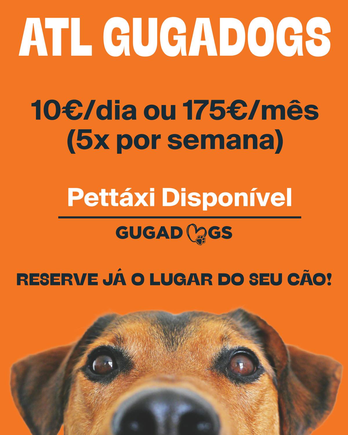 Gugadogs - Guimarães - Hotel e Creche para Animais