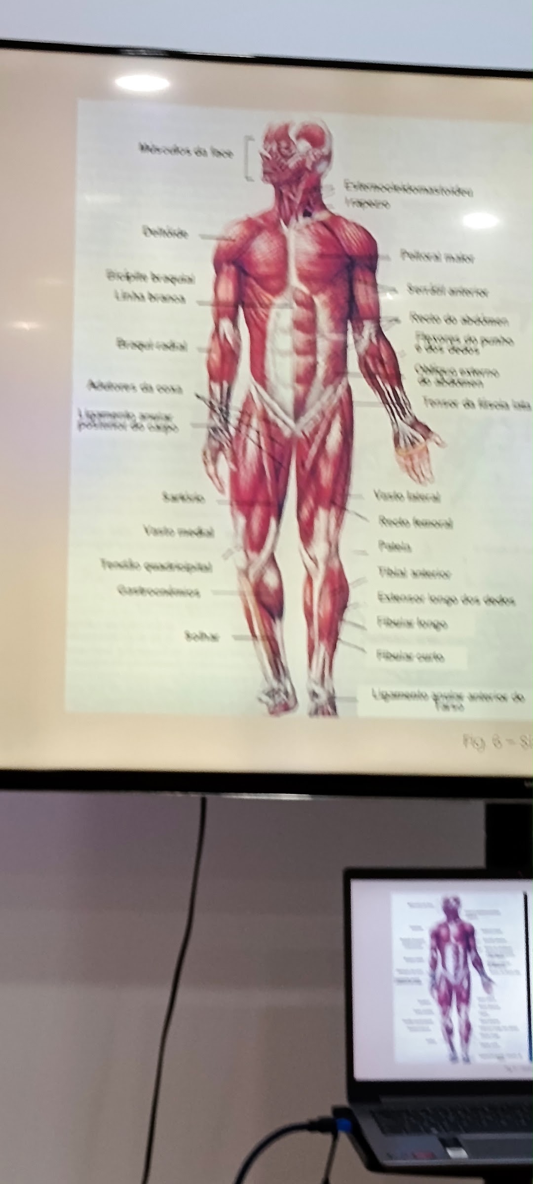 Leve Alma - Oeiras - Deep Tissue Massage