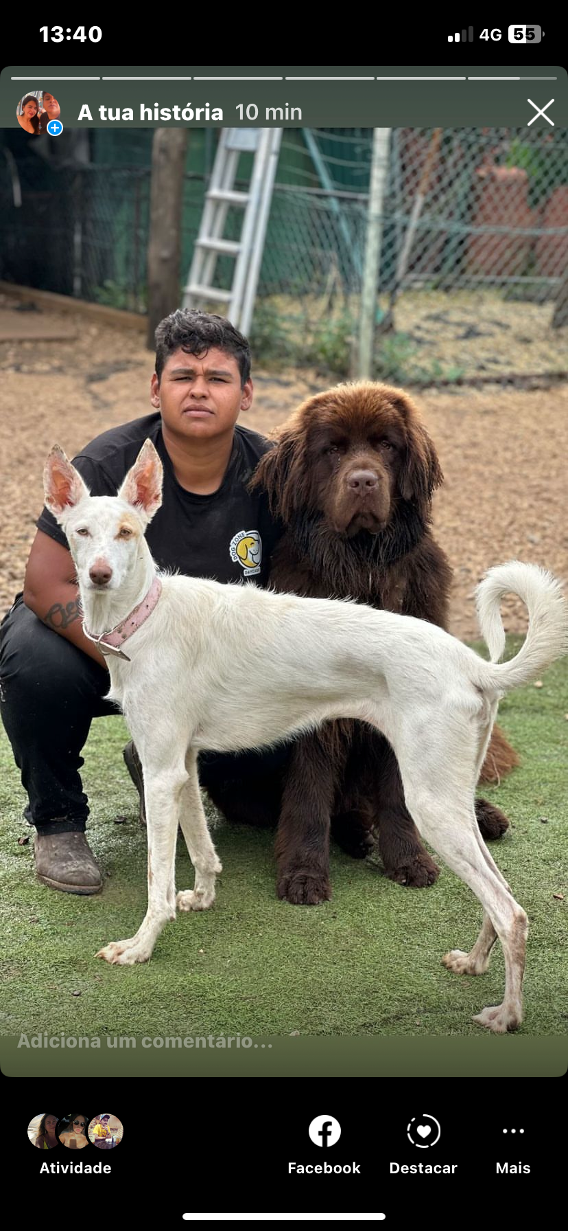 Dog feliz 😁 - Sintra - Hundetagesstätte (Hundesitter)