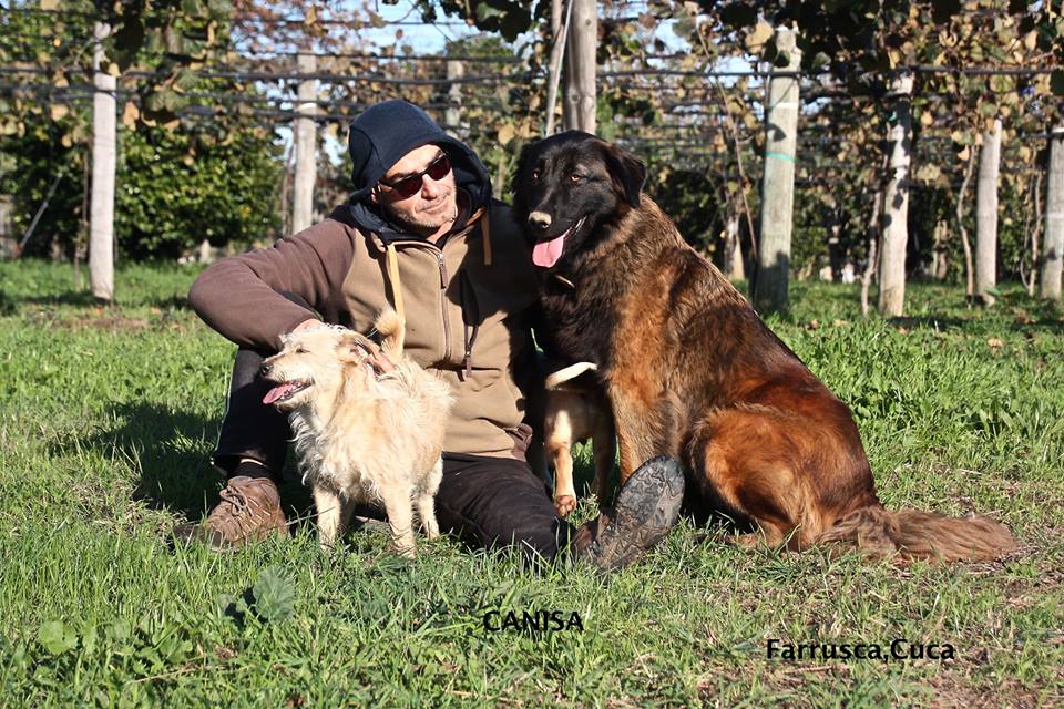 Canisa - Centro de Treinos e Hotel Canino - Braga - Dog Walking