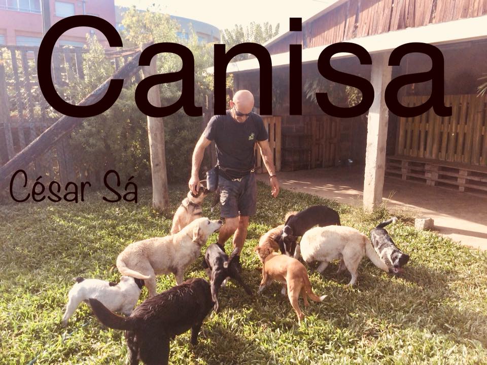 Canisa - Centro de Treinos e Hotel Canino - Braga - Creche para Cães