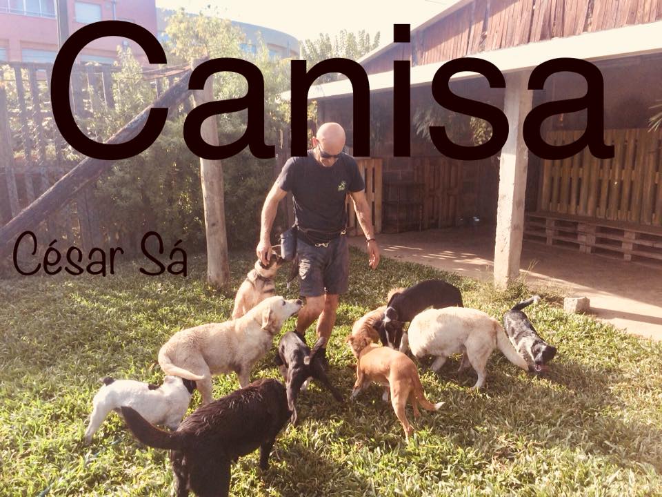 Canisa - Centro de Treinos e Hotel Canino - Braga - Dog Sitting