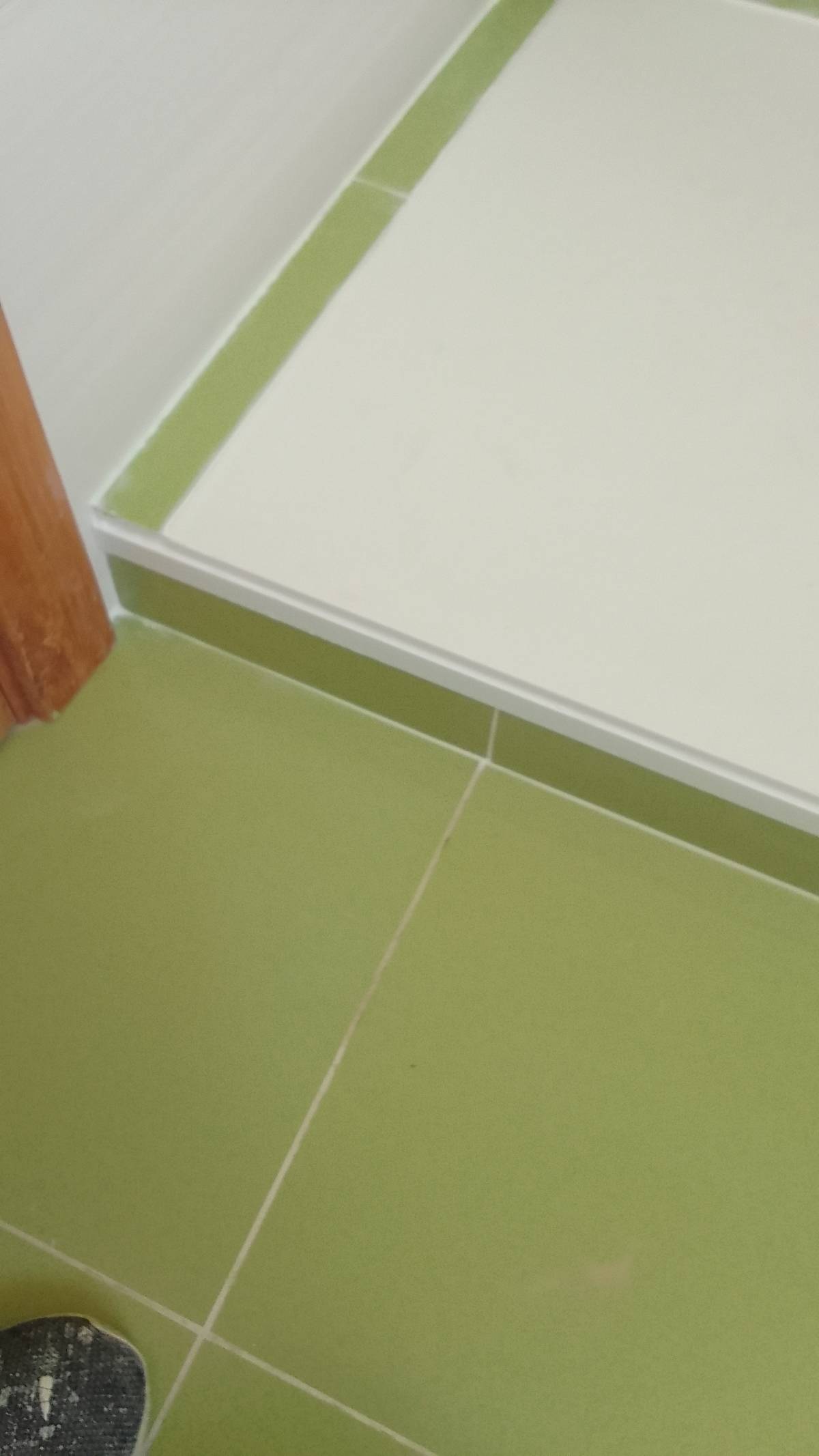 Francisco - Montijo - Trabajos de remodelación