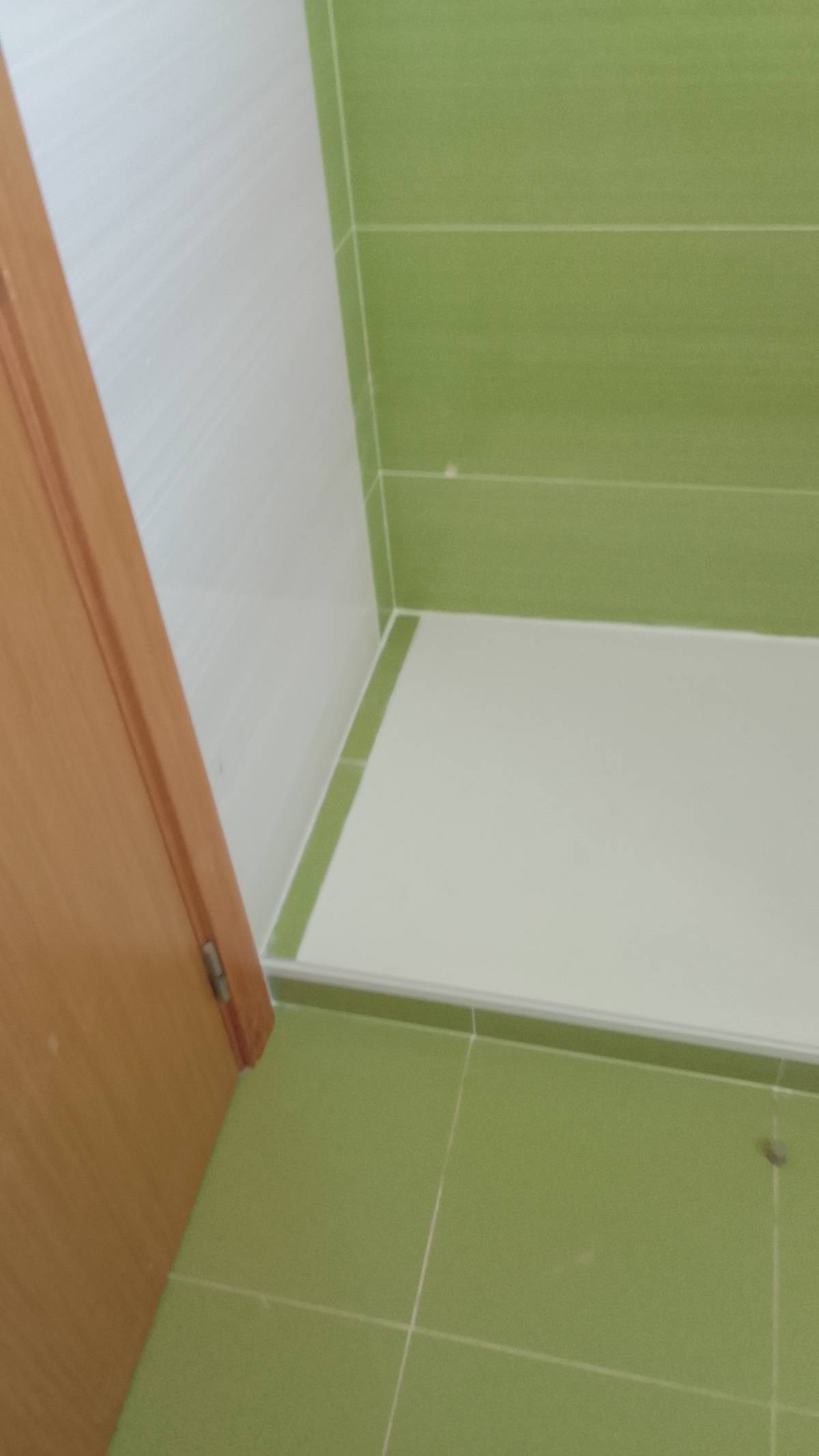 Francisco - Montijo - Adiciones y remodelaciones