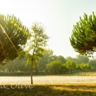 mmagn@v - Braga - Family Portrait Photography