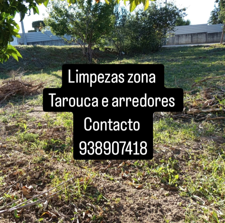 Ângelo Ferreira - Tarouca - Tree Trimming and Maintenance