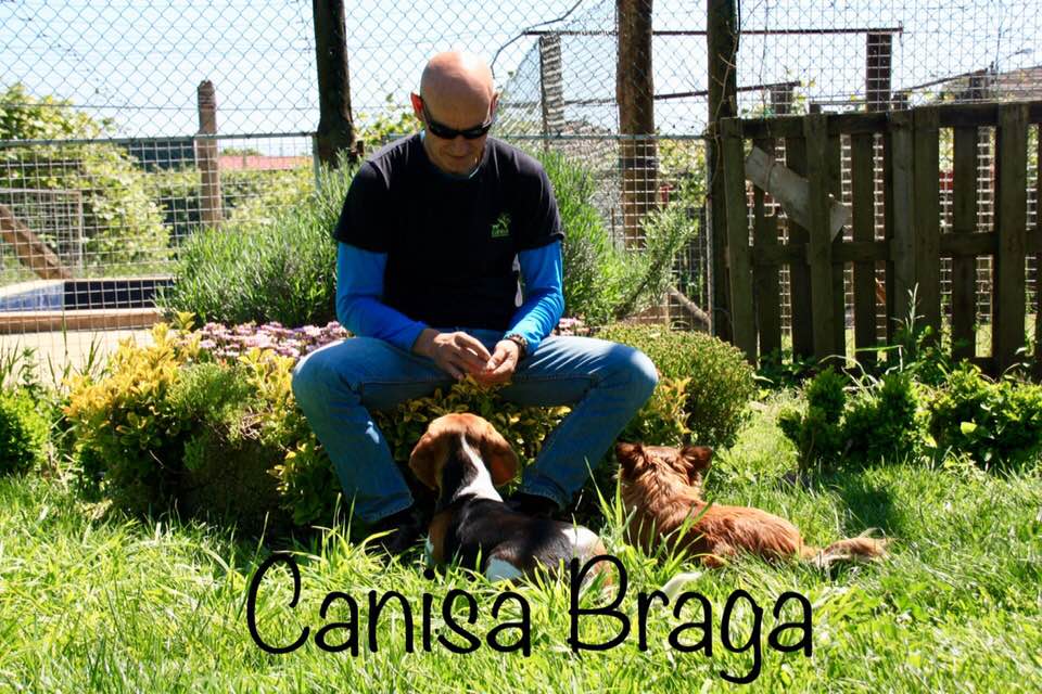Canisa - Centro de Treinos e Hotel Canino - Braga - Treino de Cães - Aulas