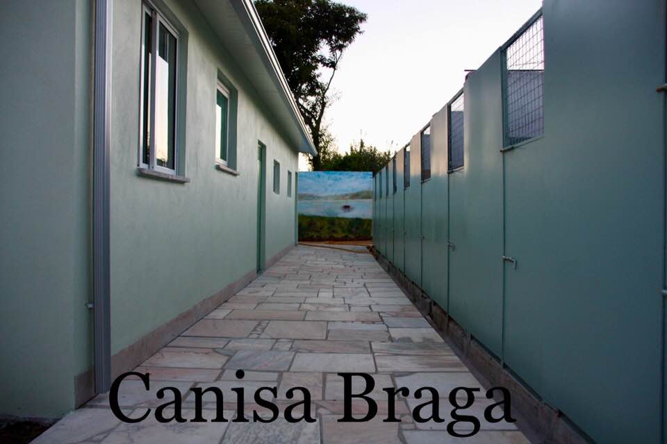 Canisa - Centro de Treinos e Hotel Canino - Braga - Pet Hotel