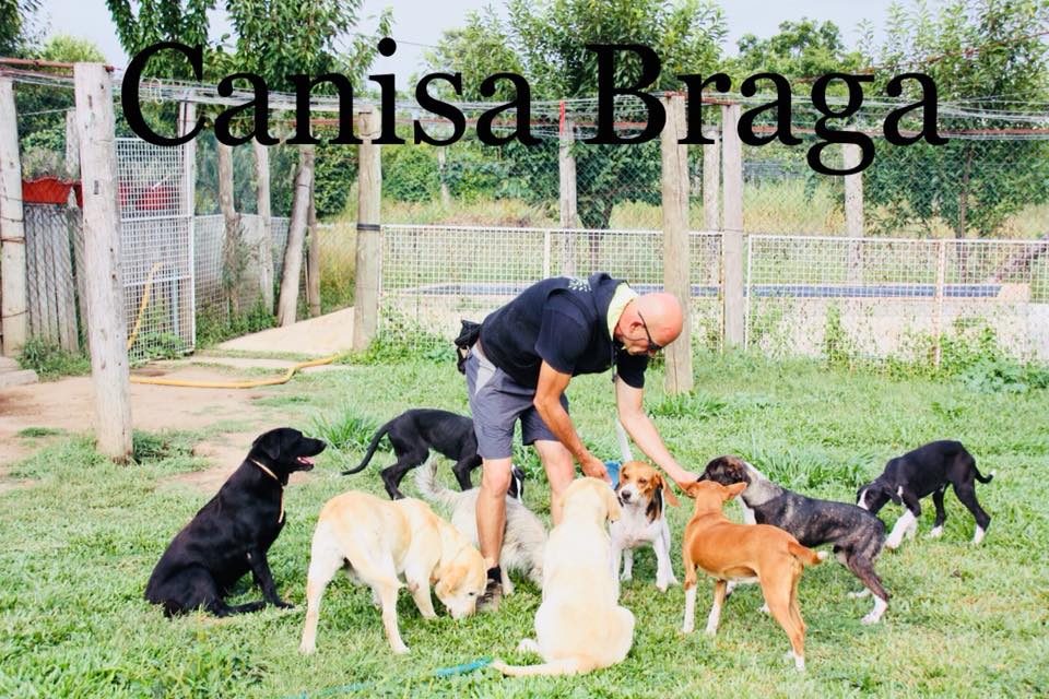 Canisa - Centro de Treinos e Hotel Canino - Braga - Dog Daycare