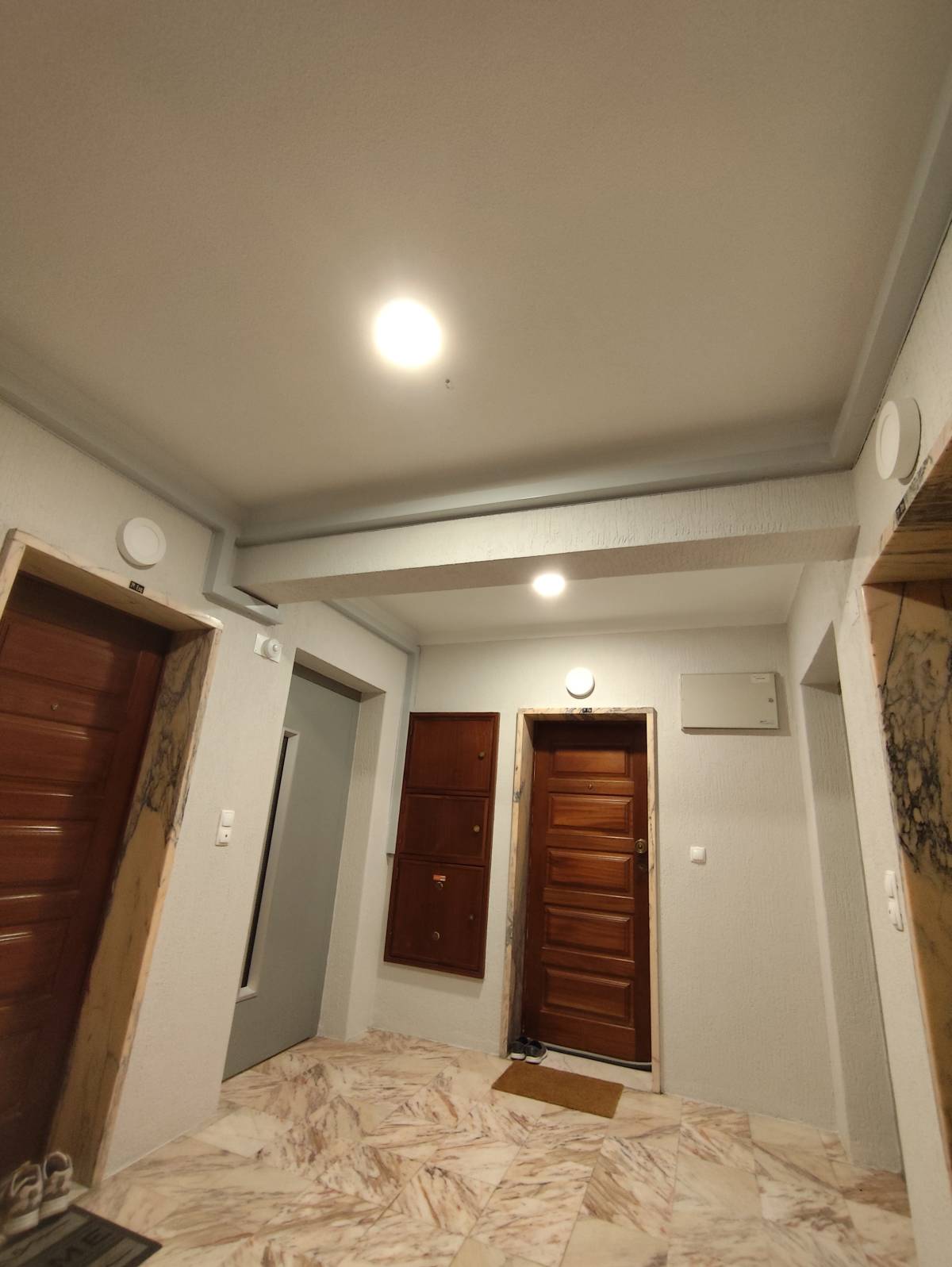 F.Solutions - Torres Vedras - Wallpaper Repair