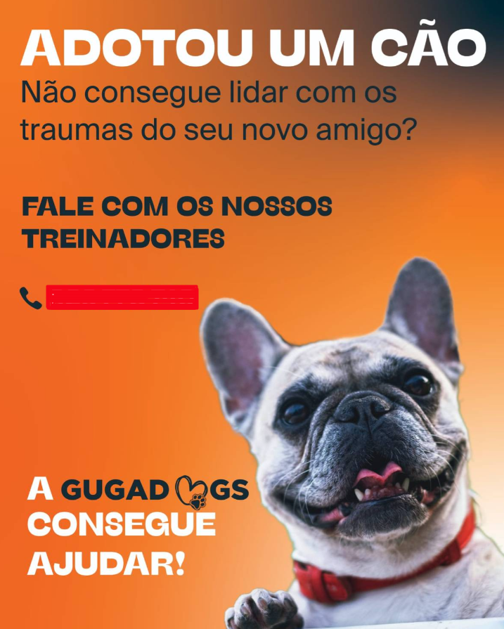 Gugadogs - Guimarães - Treino de Cães - Aulas