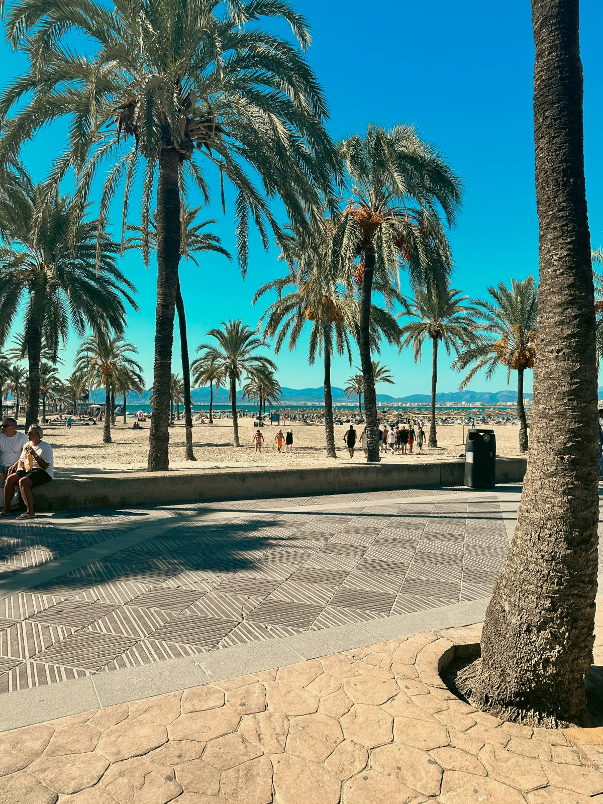 Pedro Magrinho - Vila Franca de Xira - Kommerzielle Fotografie