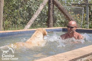 Canisa - Centro de Treinos e Hotel Canino - Braga - Treino de Cães