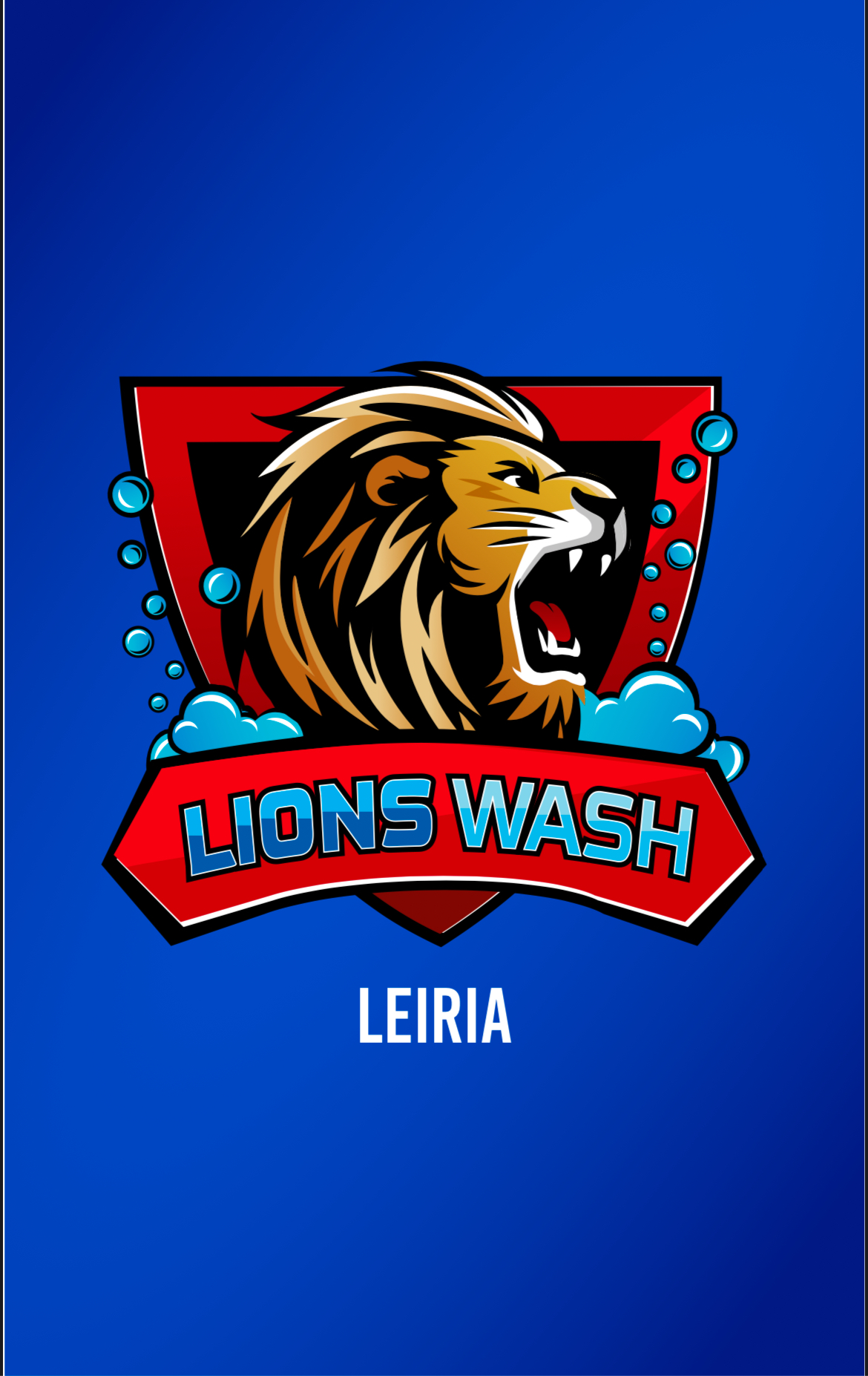 Lions wash - Marinha Grande - Fahrzeug - und Motorradreparatur