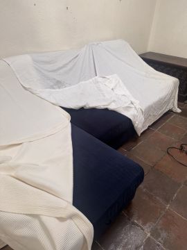 Gabriel bennett - Lisboa - Élagage et entretien des arbres