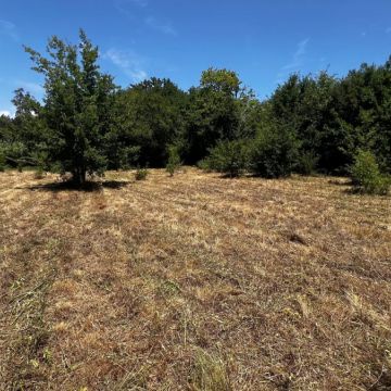 Tatica Duradoura - Maia - Hot Tub and Spa Installation