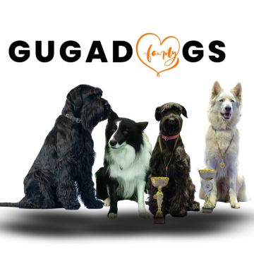 Gugadogs - Guimarães - Creche para Cães