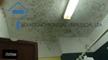 HEXÁGONO PONTUAL UNIPESSOAL LDA - Sintra - Pintura Exterior