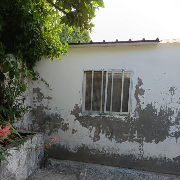 Zoeserve - São João da Madeira - Peinture intérieure