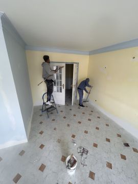 PalmTree - Sintra - Exterior Painting