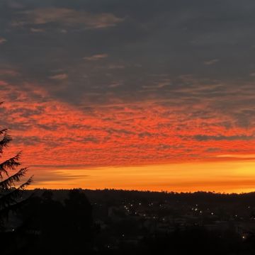 Dronando2.0 - Viseu - Video Editing