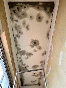 Anderson Mendes - Lisboa - Controlo de Pragas